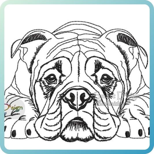 ENGLISH BULLDOG Sketch Motif