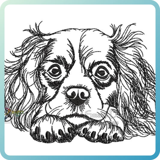 CAVALIER KING CHARLES SPANIEL Sketch Motiv