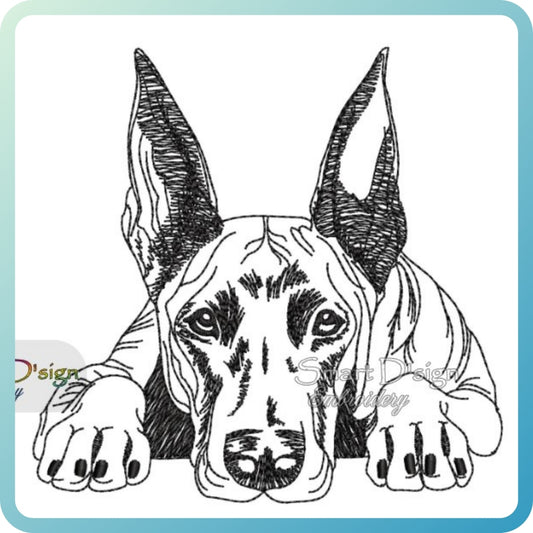 DOBERMANN Sketch Motif