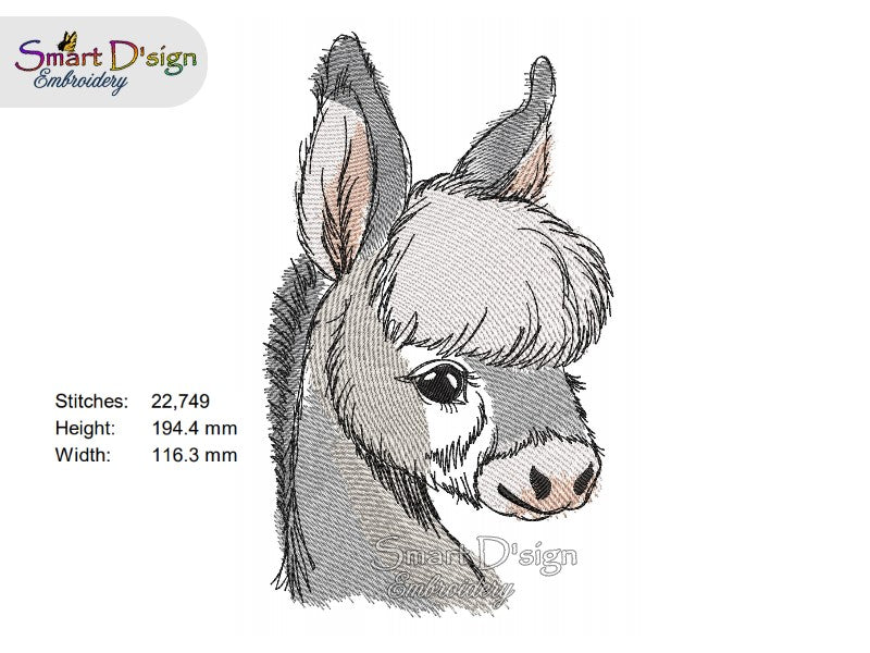 LITTLE DONKEY - FARM LIFE